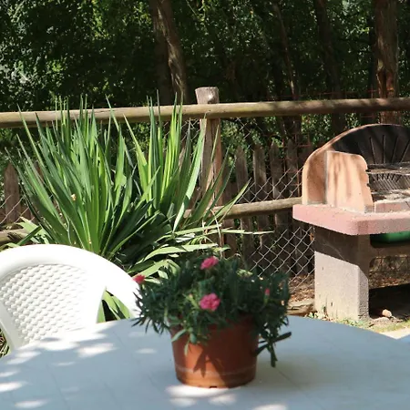 Semesterbostad Cozy Holiday In Tuscany Near Forest Borgo San Lorenzo