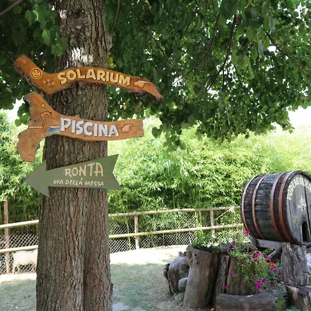 Cozy Holiday In Tuscany Near Forest Borgo San Lorenzo