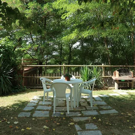 Cozy Holiday In Tuscany Near Forest