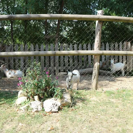 Cozy Holiday In Tuscany Near Forest Semesterbostad *
