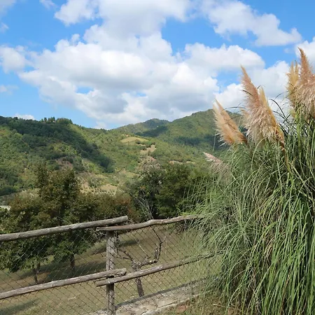 Cozy Holiday In Tuscany Near Forest